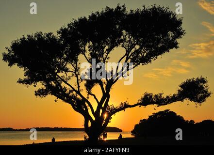 Sunset from the Florida Everglades Stock Photo
