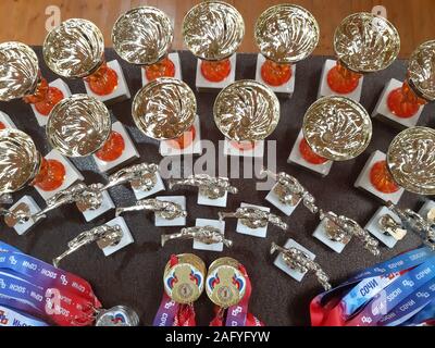 https://l450v.alamy.com/450v/2afyfyw/kickboxing-sports-awards-in-the-form-of-cups-and-medals-are-on-the-table-russia-sochi-07212019-2afyfyw.jpg