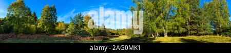 panoramic shot in the forest, Goules pass, Auvergne, Puy de Dome. Stock Photo