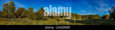 panoramic shot in the forest, Goules pass, Auvergne, Puy de Dome. Stock Photo