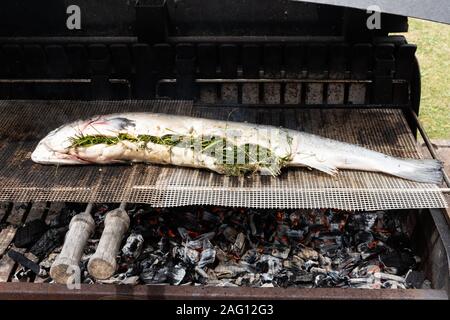 salmon stuffed with herbs grilling on the barbecue Stock Photo