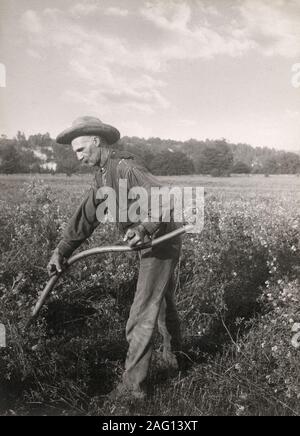 Early 20th century vintage press photograph - farmer in hat cutting crop with  scythe, Canada, c.1920 Stock Photo