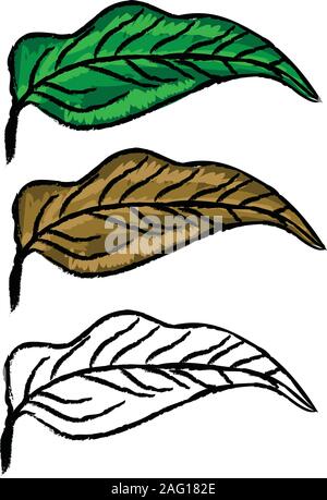 Three hand drawn leaves green, yellow and in black and white color. Stock Vector