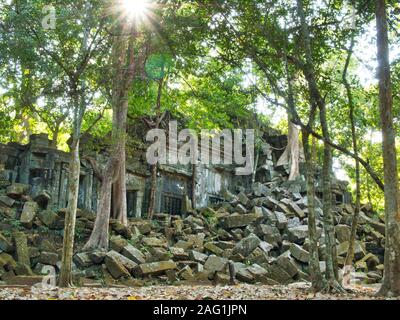 Masonry being moved by banyan trees growing in temple ruins at the unrestored Khmer temple of Beng Mealea, around 50km west of Siem Reap in Cambodia Stock Photo