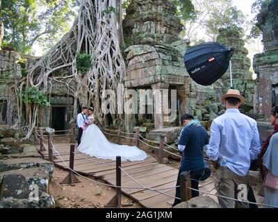 A couple have pre-wedding pictures taken in front of a banyan tree growing over temple ruins at Ta Prohm in the Angkor Archaeological Park at Siem Rea Stock Photo