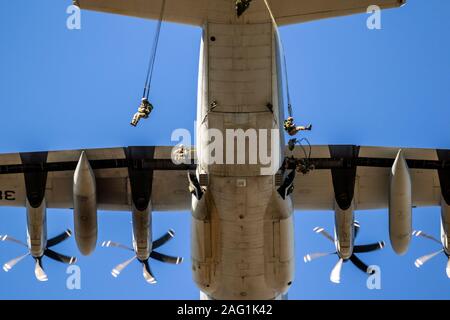 EDE, NETHERLANDS - SEP 21, 2019: Group of military parachutist paratroopers jumping out of a transport plane during the Operation Market Garden memori Stock Photo
