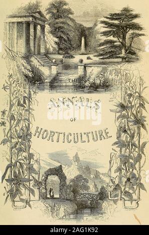 . The Annals of Horticulture and Year-Book of Information on Practical Gardening. THE ANNALS OF HORTICULTURE; f9ear-33oofe of Mfovmutitm PRACTICAL GARDENING, EOR 1850. Stock Photo