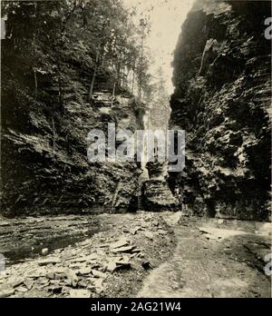 . Descriptive and illustrated guide book of the famous Watkins Glen, a New York reservation, located at Watkins, Sehuyler Co., N.Y. (head of Seneca Lake). Cavern Cascade C 19 ].