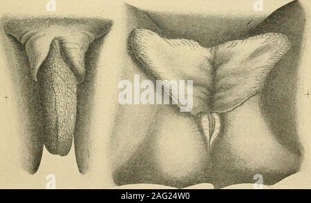 Jinsiy aloqa yigitning yuziga otirdi Kapotnyada erotik massaj