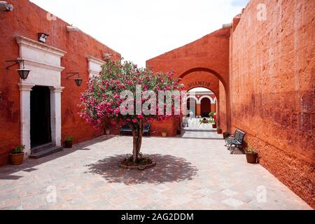 A tree grows in the yard in monastery Saint Catalina, Arequipa, Peru Stock Photo
