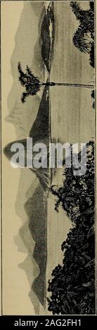 . Around and about South America. ght. There was, as yet, no moon,though the stars were brightly illuminative. The harborof Rio is about one hundred miles in circumference, liesdirectly north and south, and is almost exactly of a pear-shape, the long and narrow entrance forming, as it were,the neck of the fruit. To the left, as we passed in, roseabruptly from the sea a great, precipitous rock, appropri-ately named, from its formation, Sugar-Loaf. Though butthirteen hundred feet in height, it is so steep and smooththat it has been climbed but by only three or four advent-urous persons. So sharp Stock Photo