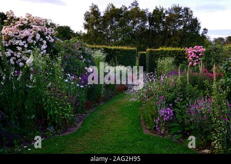 dierama pulcherrimum,pale pink flowers,mixed perennials,cottage garden,borders,arching,dangling,hanging,bell shaped flowers,angels fishing rods,garden Stock Photo