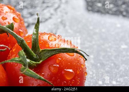 Closeup of wet fresh shiny red tomatoes on stem with leaves and water drops on a wet grey granite background with copy space Stock Photo