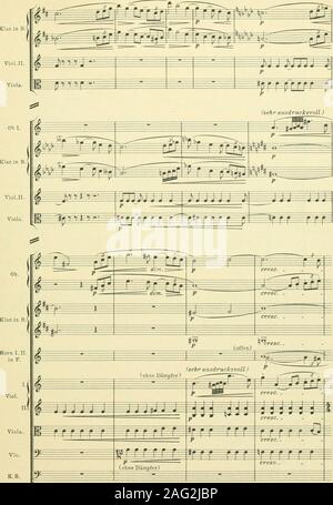 . Instrumentationslehre, von Hector Berlioz. Ergänzt und rev. von Richard Strauss. 233. Stock Photo