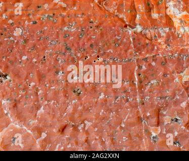 Raw, uncut orbicular jasper, also called ocean jasper, from Madagascar frame filling close up detail view Stock Photo