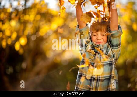 Boy hanging off tree branch and causing leaves to fall. Stock Photo