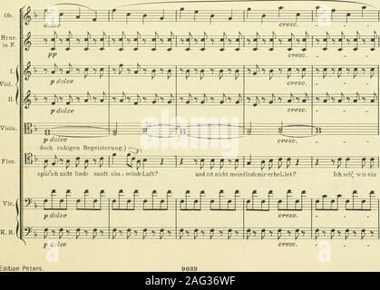 . Instrumentationslehre, von Hector Berlioz. Ergänzt und rev. von Richard Strauss. 19« Stock Photo