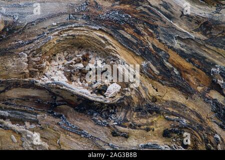 abstract texture of frozen lumber Stock Photo