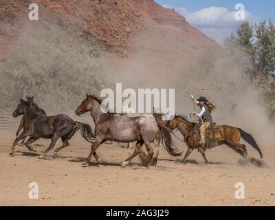 A cowgirl or wrangler drives a herd of horses with her lariat looped overhead on the Red Cliffs Ranch near Moab, Utah.  Another cowboy is hidden by th Stock Photo
