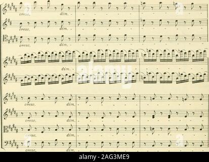 . Instrumentationslehre, von Hector Berlioz. Ergänzt und rev. von Richard Strauss. Fas. Stock Photo
