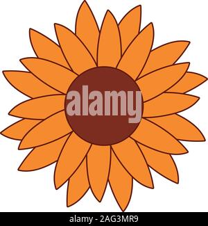 Sunflower design, floral nature plant ornament garden decoration and botany theme Vector illustration Stock Vector