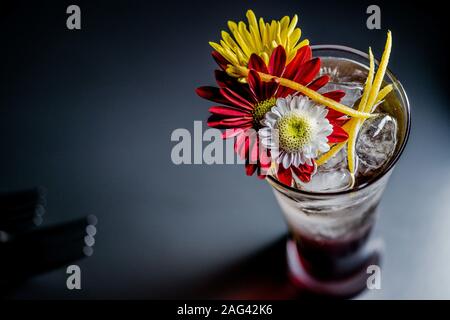 High angle closeup shot of a glass filled with ice and Transvaal daisies in it on dark background Stock Photo