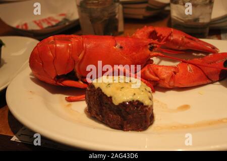 Closeup shot of a lobster taken in Boston Stock Photo