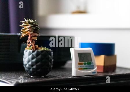low angle closeup shot of a small plant and an alarm on a bedside table in the room Stock Photo