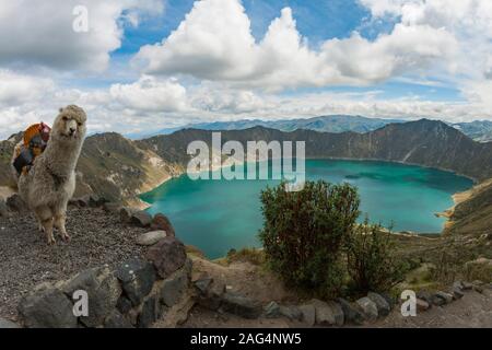 The lake in the caldera of the Quilotoa volcano in Ecuador. Stock Photo