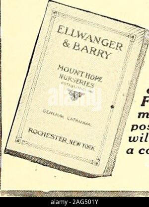 . American homes and gardens. 73 years of leadership, based onabsolute integrity. A world-widepatronage. Every specimen is trueto species, is well rooted andsturdily developed, and is packedand shipped with utmost care.Both large and small orders receiveclose attention, and our reputation as-sures your satisfaction. Goods safelydelivered in all parts of the world. ELLWANGER & BARRY Mount Hope Nurseries Box 23B, Rochester, N- Y. AN INVALUABLE FREE BOOK Write for a copy ofour 73rd AnnualCatalogue. It is a? &lt;j standard guide inH all matters per-7 taining to lawn . and garden dec- nm,^oration. Stock Photo