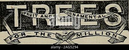 . The California horticulturist and floral magazine. NURSERIES. NILES, Alameda County, California. TVE CALL ATTENTION TO OUR LARGE STOCK OF Of the best new and old varieties. ALSO HUT TREES AND OMAMEHTALS. We have an extra stock of APPLE TEEES; also Eoses in variety ;Japanese Persimmon, both home-grown and imported ; Shade Tkees ; Ever-greens; Small Fkuits; Greenhouse Plants; Magnolias, etc. Address for Catalogues and Circulars, JAMES SHINN, NILES, CAL. .a. iis/rAGKixrirFioiEisrT work. The Native Flowers and Ferns of the United States. By PROF. THOMAS MEEHAN,Vice-President of the Botanical Sec Stock Photo