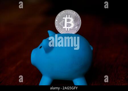 Large Bitcoin being deposited into a piggy bank Stock Photo