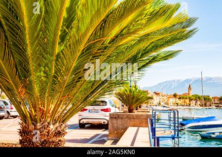 Toscolano Maderno, Lombardy, Italy - September 12, 2019: View on medieval Toscolano Maderno cityscape through palm leaves growing on promenade and pie Stock Photo