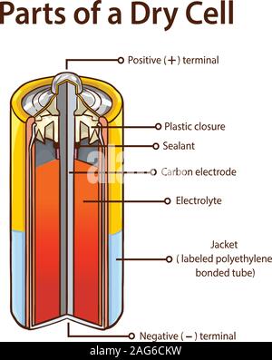 Parts of a Dry cell battery. stock illustration Battery, Inside Of