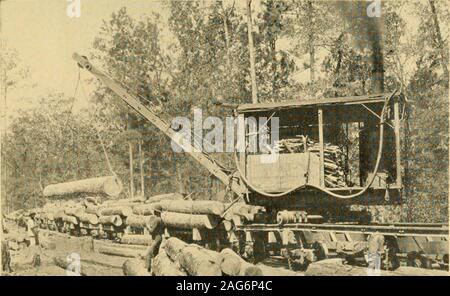. Louisiana and Arkansas railway; its territory industries and financial condition ... HAULING LOGS TO LOADER in which strength is required and large quantities are usedin bridge building. Lumbering operations on an importantscale throughout this region are of comparatively recentdate, although far-seeing lumbermen of the North have. C^i^^S- ?t^KKSSSSS