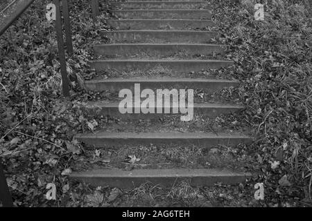 Grayscale shot of concrete stairs covered with dry leaves Stock Photo