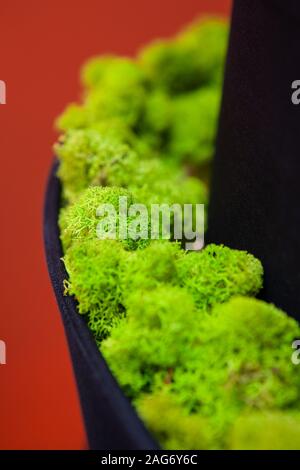 Artificial green moss wall for garden decor. Backgrounds and Textures Stock  Photo by ©DmyTo 279180454