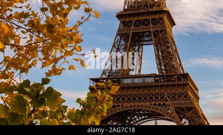 Eiffel tower with autumn leaves in Paris, France Stock Photo