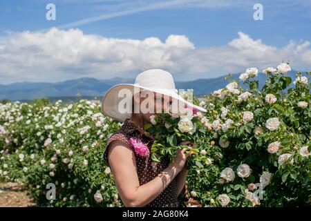 Beautiful woman in retro style polka dot dress and hat holding a delicate bouquet of Bulgarian pink and white fresh roses in spring warm sunny day wit Stock Photo