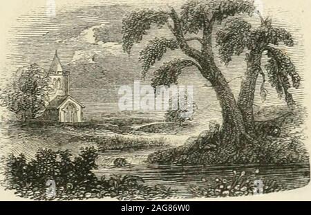 . The first [-fifth] reader of the school and family series. Haply, some hoary-lieaded swain may say : Oft have we seen him, at the peep of dawn, Brushing, with hasty steps, the dews away,To meet the sun upon the ujiland lawn.. 26. There, at the foot of yonder nodding beech.That wreathes its oldfantastic roots so high,His listless length, at noontide, would he stretch,And pore upon the brook that babbles by. 454 willsons fifth reader. Stock Photo