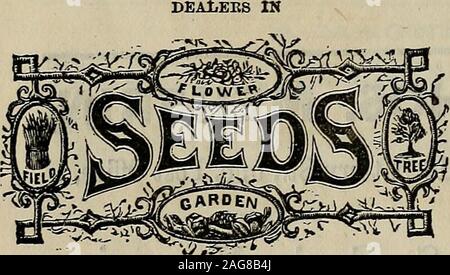 . The California horticulturist and floral magazine. TE,OAKLAND, CAL. Is the largest Rose Nursery in the State.FOE SALE: 20,000 ROSE PLANTS, which are rare and beautiful. Strong plants at20c. each, or $15 per 100. The cheapest everoffered in the State. A fine collection of pinks, tubes, PLANTS, SHRUBS, Etc. 100,000 Blue Gum Trees, Cheap. Everything to make a garden complete. Allorders promptly attended to; Apply or address— KELLER & BLAIR, Proprs., OAKLAND, CAL. Established in San Francisco, 1852. Pryals Nursery, North Temescal, Near Oakland, Alameda County, Cal. At this Nursery can be found a Stock Photo