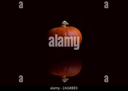 Delicious orange pumpkin reflecting on the surface in the black background Stock Photo