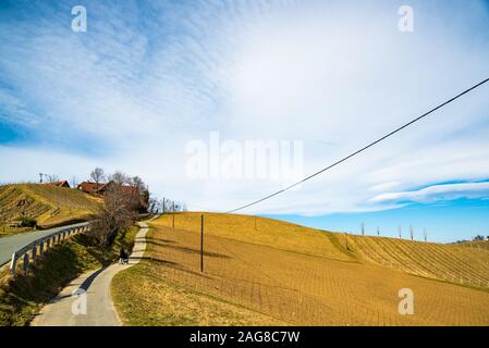 Panorama of Vineyards. Kastenburg south Styria travel spot Stock Photo