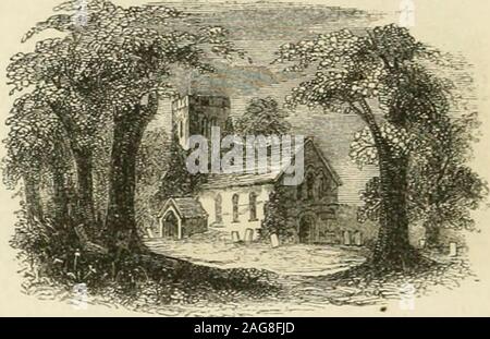 . The first [-fifth] reader of the school and family series. 3. Save that, from yonder ivy-mantled tower, The moping owl does to the moon complainOf such as, wandering near her secret bower.Molest her ancient solitan- reipn.. Beneath those rugged elms, that yew-trees shade,Where heaves the turf in many a mouldering heap, Each in his narrow cell forever laid,The rude forefathers of the hamlet sleep. Stock Photo