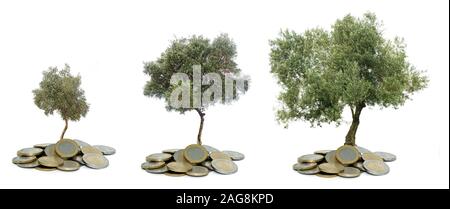 Three Olive trees growing from pile of coins Stock Photo