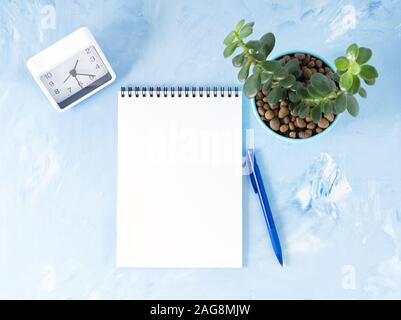Top view of modern bright blue office desktop with notepad, clock, a flower succulent. Mock up, empty space Stock Photo