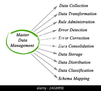 diagram of Master Data Management Stock Photo