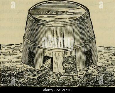 . The American farmer. A complete agricultural library, with useful facts for the household, devoted to farming in all its departments and details. no. 1. BARREL COOP.. Stock Photo
