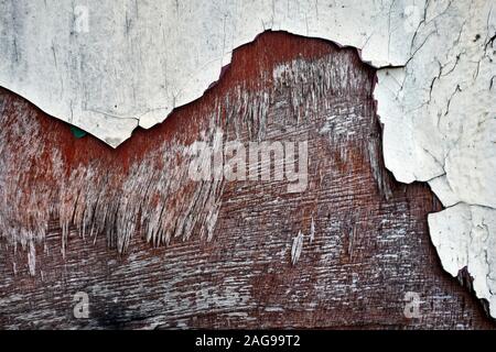 A close up of a piece of old plywood that at one time was painted white with its first layer beginning to rot away exposing the next layer below Stock Photo