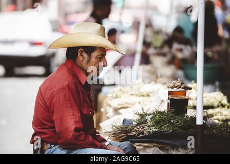 ZACATECAS, MEXICO - Nov 11, 2019: Old Mexican Cowboy sitting with red shirt in the market selling cactus. Stock Photo